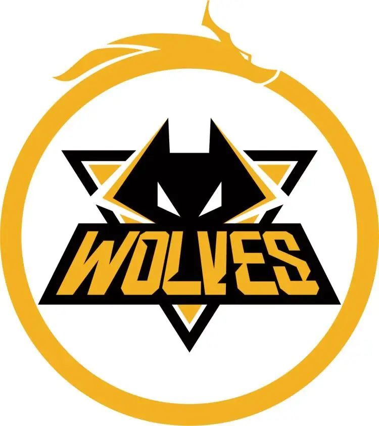 LCK赛区NS参赛阵容变更公告：二队比赛弃权